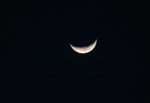 202204061859-DSC01765.jpg