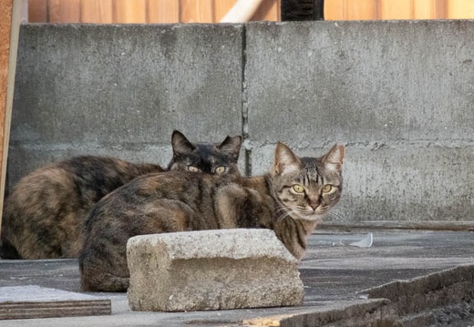 202204081814-DSC02080.jpg