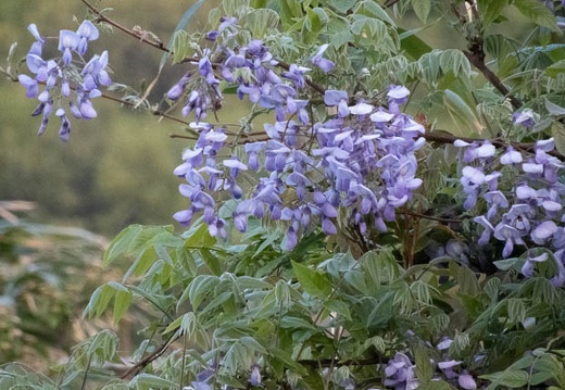 202204121816-DSC02164.jpg