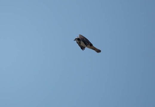 202204161129-DSC02227.jpg