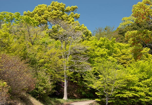 202204161253-DSC02448.jpg