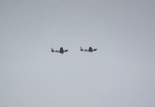 202204181204-DSC02358.jpg