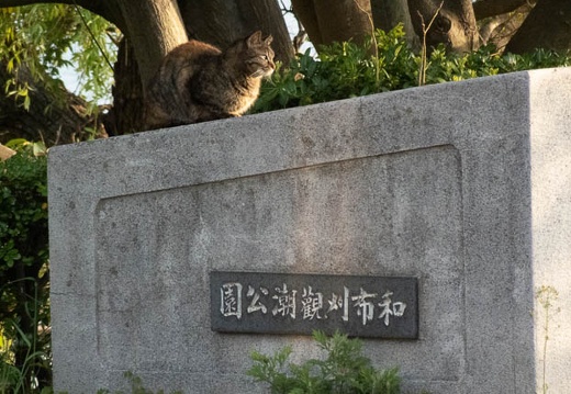 202204181800-DSC02453.jpg