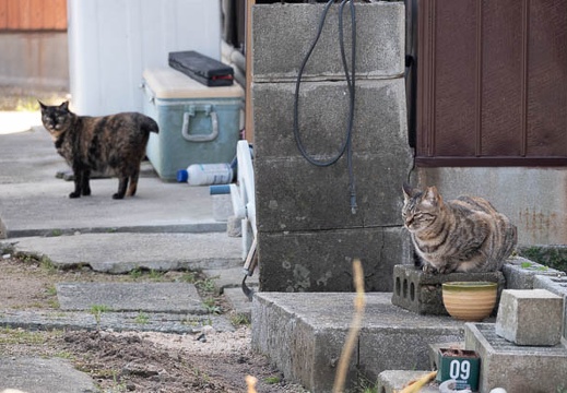 202204300936-DSC03744.jpg