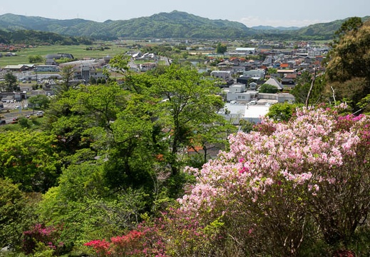 202204301056-DSC03774.jpg