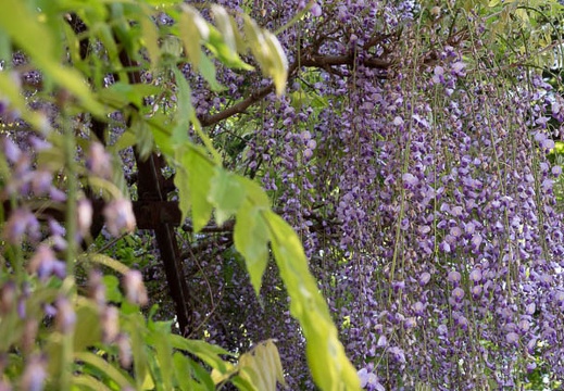202204301111-DSC03798.jpg