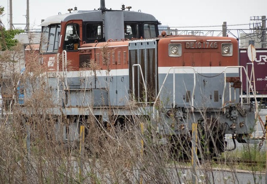 202205011252-DSC03786.jpg