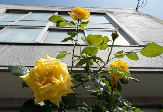 202205011428-DSC03813.jpg