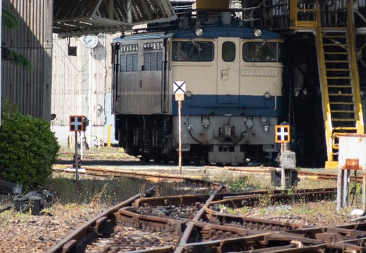 202205011502-DSC03872.jpg