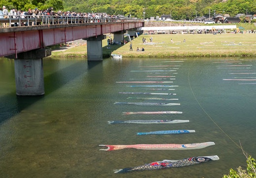 202205040935-DSC04002.jpg