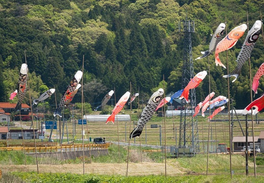 202205041123-DSC04083.jpg