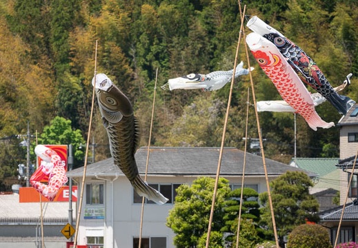 202205041125-DSC04090.jpg