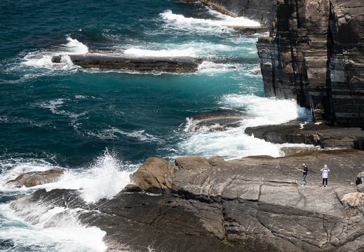 202205041209-DSC04149.jpg