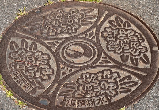 202205041439-DSC04323.jpg