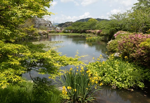202205071237-DSC04256.jpg