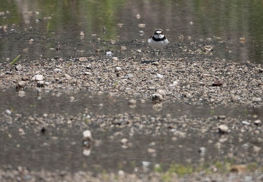 202205141337-DSC04716.jpg