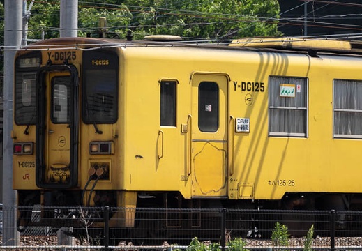 202205141338-DSC04728.jpg