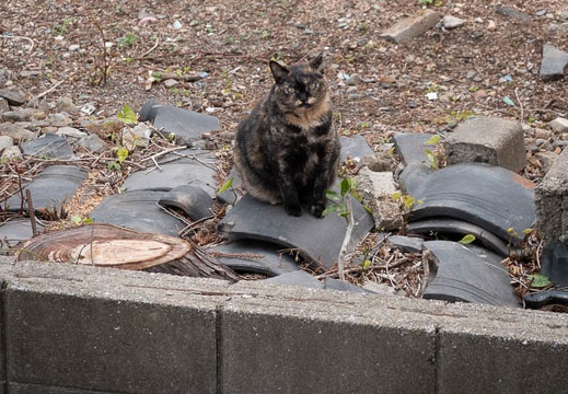 202205150844-DSC04808.jpg