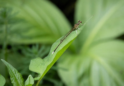 202205151125-DSC04957.jpg
