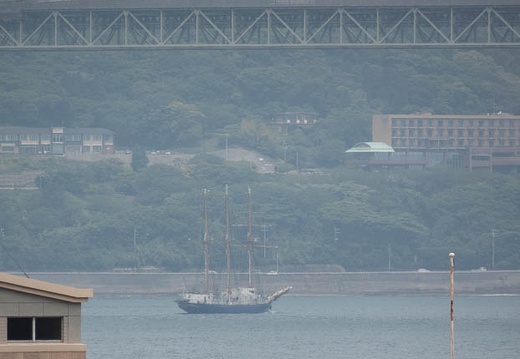 202205231135-DSC05661.jpg