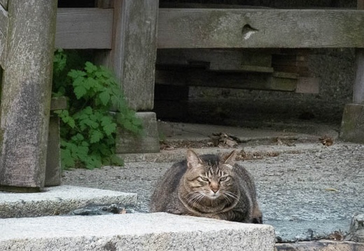 202205251806-DSC06030.jpg