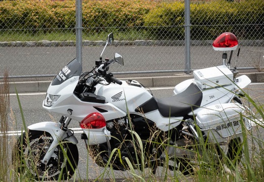 202205281154-DSC06380.jpg