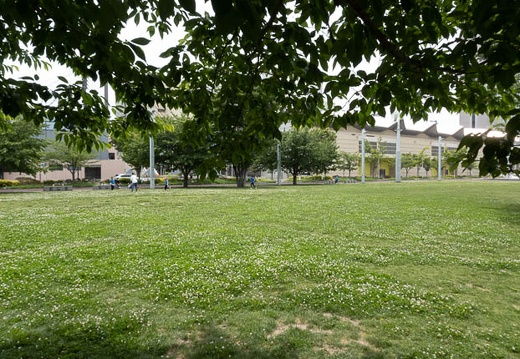 202205281157-DSC06382.jpg