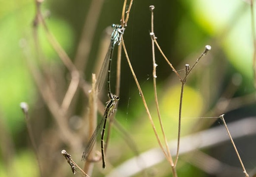 202205290947-DSC05925.jpg