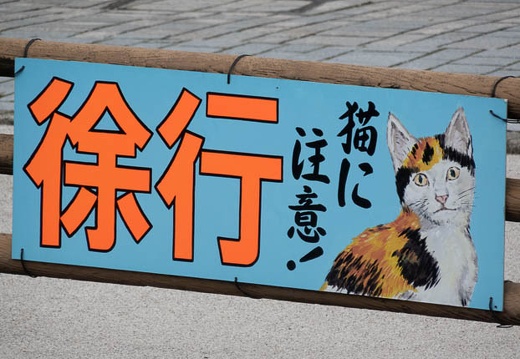 202205310738-DSC06508.jpg