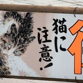 202206010738-DSC06633.jpg