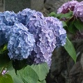 202206161838-DSC08251.jpg