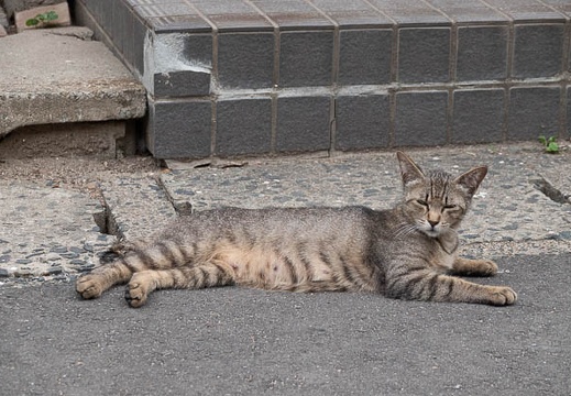 202206191703-DSC07861.jpg