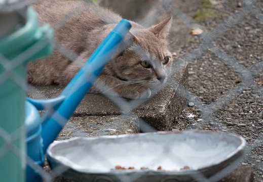 202206191705-DSC07877.jpg