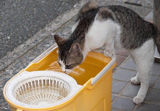 202206191714-DSC07916.jpg