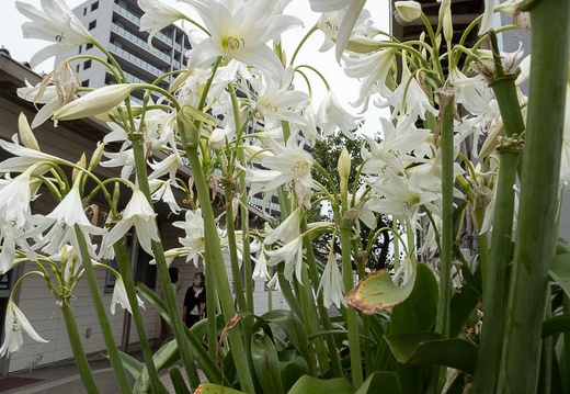 202206201209-DSC08383.jpg