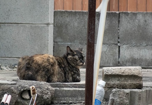 202206211800-DSC08506.jpg
