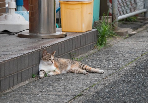 202206261800-DSC08116.jpg