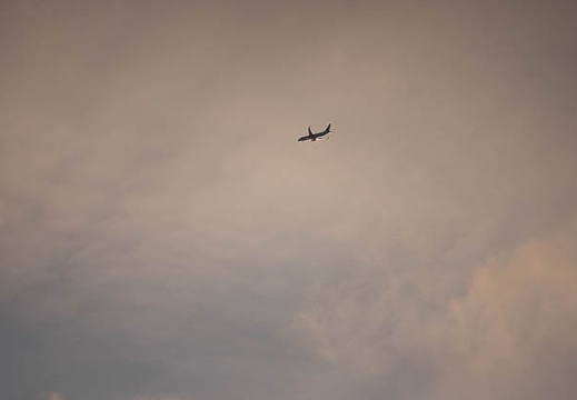 202206261903-DSC08193.jpg