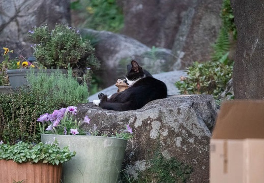 202206261916-DSC08237.jpg
