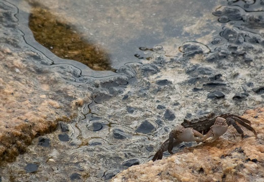 202206271751-DSC08833.jpg