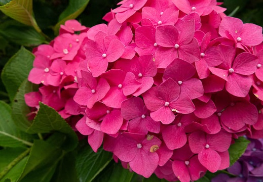 202206281822-DSC08337.jpg