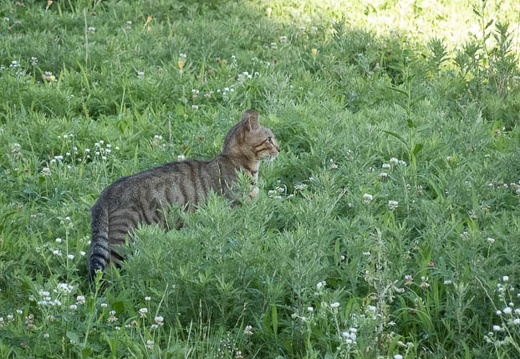 202206290737-DSC08964.jpg