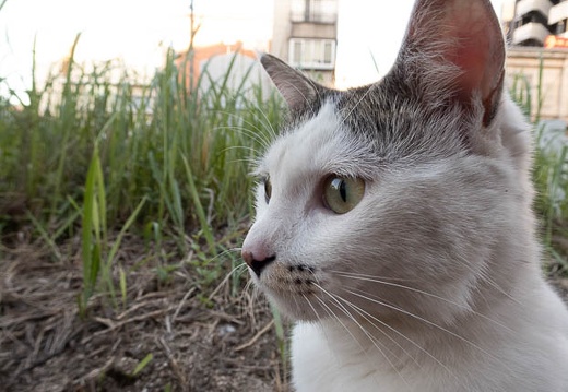 202206291835-DSC09099.jpg