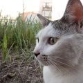 202206291835-DSC09099.jpg