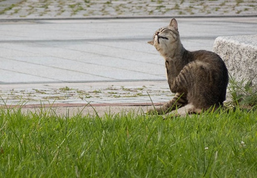 202207010739-DSC09201.jpg