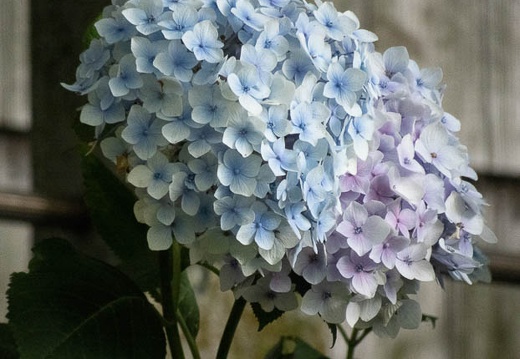 202207041319-DSC09267.jpg