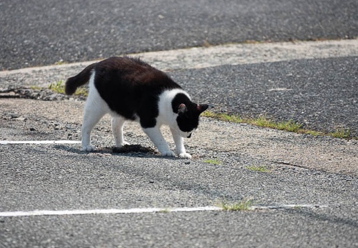 202207091424-DSC08775.jpg