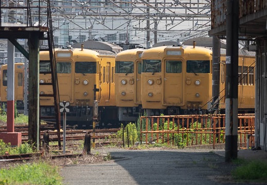 202207091428-DSC08786.jpg
