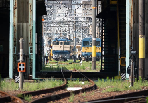 202207091521-DSC08864.jpg