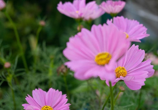 202207130807-DSC09838.jpg